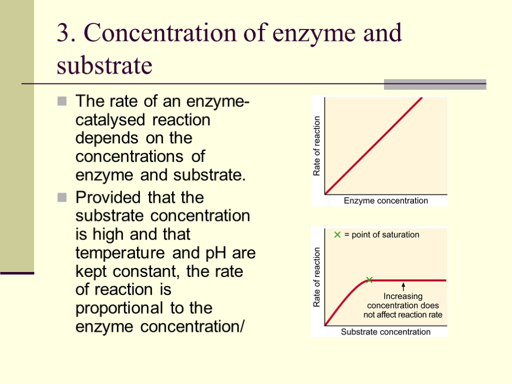 3. Concentration of enzyme and substrate The rate of an enzyme-catalysed reaction depends on